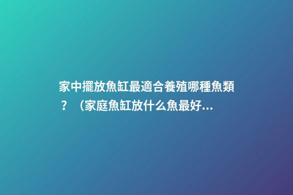 家中擺放魚缸最適合養殖哪種魚類？（家庭魚缸放什么魚最好）